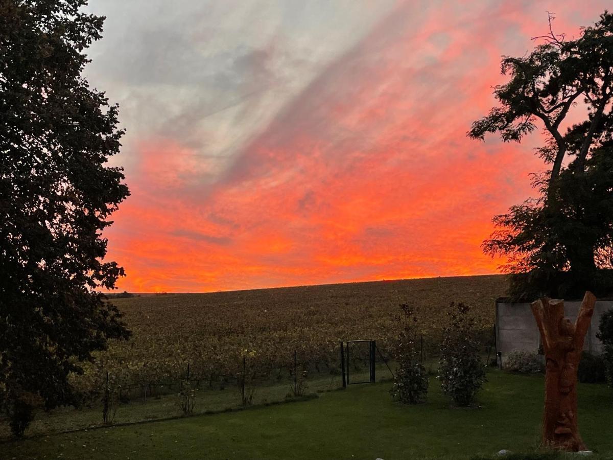 Best View, Pool And Spa On The Champagne Vineyard Saint-Thierry Exteriör bild